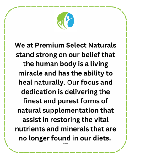 Untitled (1280 x 769 px) (8)