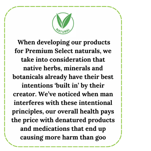 Untitled (1280 x 769 px) (9)